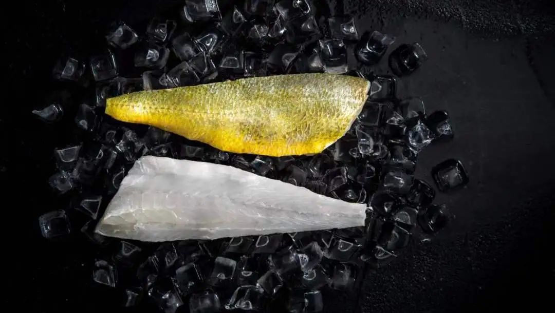 闽味最佳食材奖!福鱼荟·闽投1号深海大黄鱼上榜! 闽味最佳食材奖!福鱼荟·闽投1号深海大黄鱼上榜!