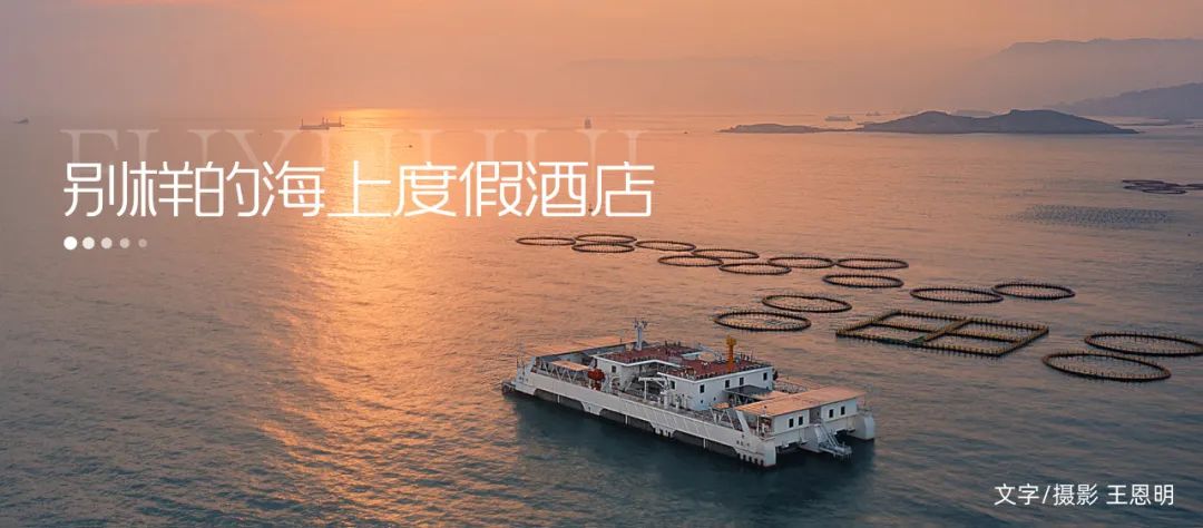 闽投1号·福鱼荟 | 好看的,总被看好 闽投1号·福鱼荟 | 好看的,总被看好