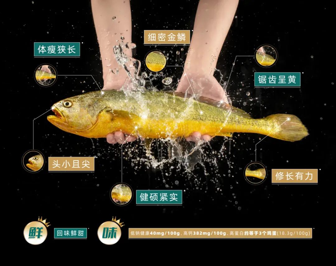 向海而兴,福鱼荟亮相服贸会,向全球展示耕海牧渔新模式 向海而兴,福鱼荟亮相服贸会,向全球展示耕海牧渔新模式