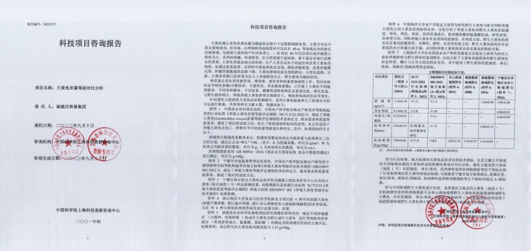 奔赴故乡,一场生命的洄游 奔赴故乡,一场生命的洄游