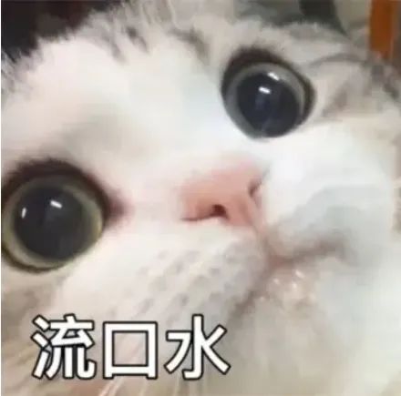 备受点赞!品质成为福鱼荟·闽投1号走红的终极密码 备受点赞!品质成为福鱼荟·闽投1号走红的终极密码