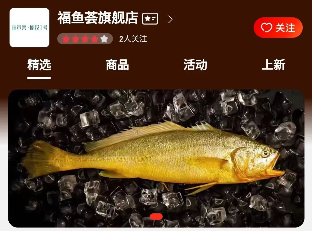 高光聚焦|2023福鱼荟年度大事记 高光聚焦|2023福鱼荟年度大事记