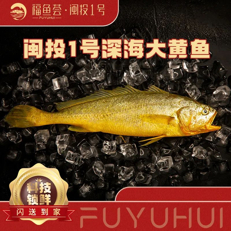 年前发货倒计时2天！福鱼荟鱼跃龙门礼盒提回家！
