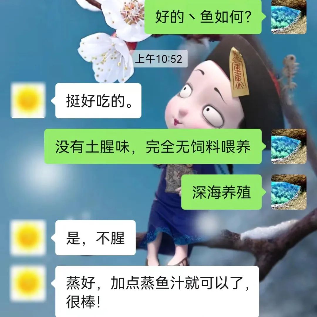 备受点赞！品质成为福鱼荟·闽投1号走红的终极密码