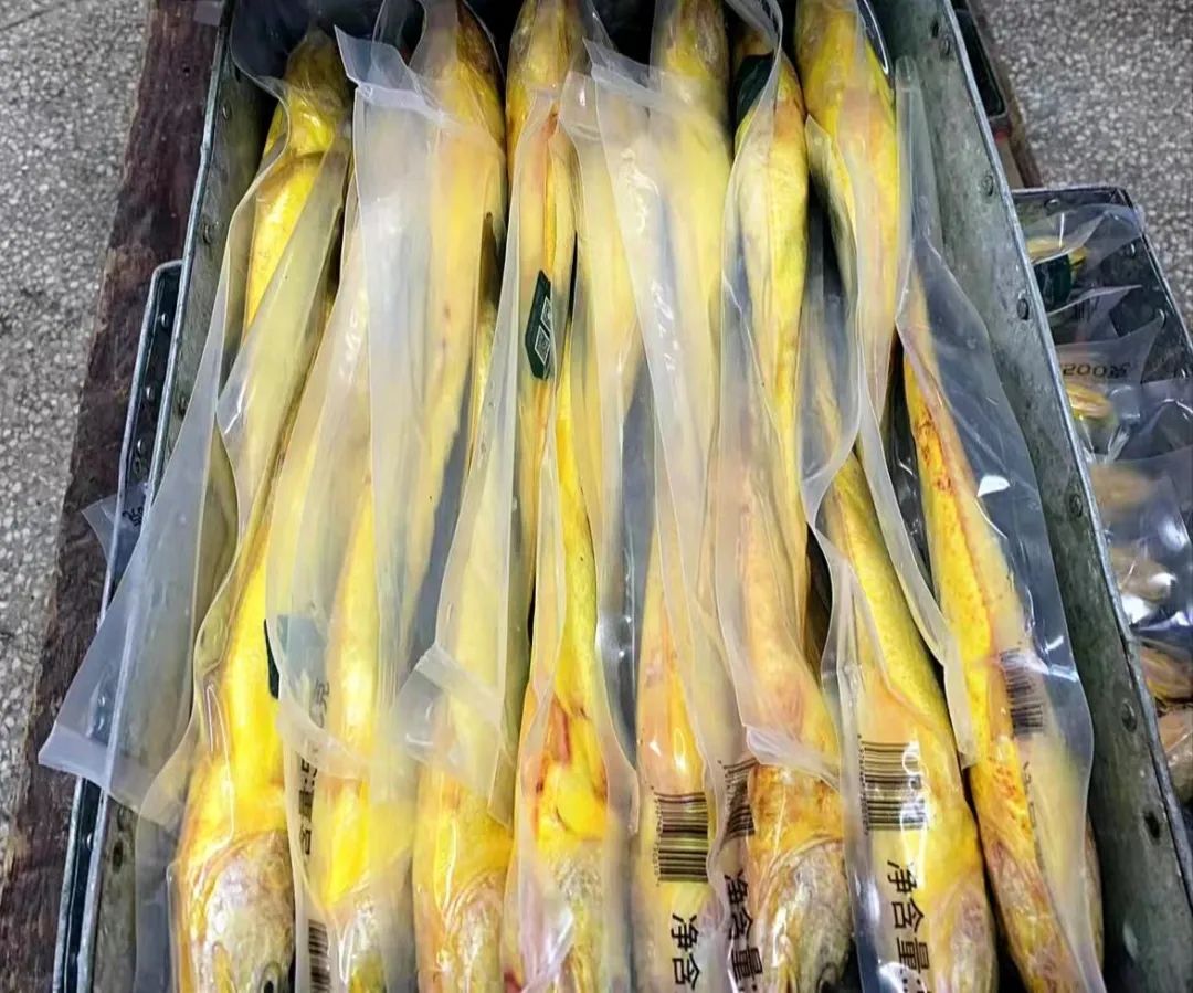 华章新启,福鱼荟与您共赴新程 华章新启,福鱼荟与您共赴新程