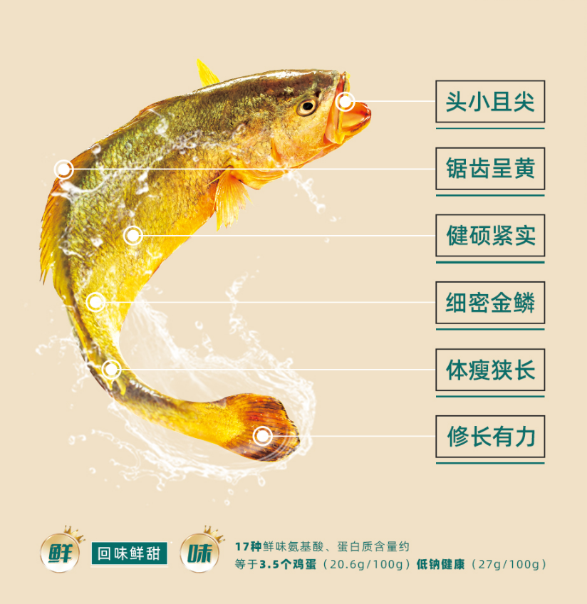 出发深远海,解码“闽投1号·福鱼荟”大黄鱼的臻野基因! 出发深远海,解码“闽投1号·福鱼荟”大黄鱼的臻野基因!