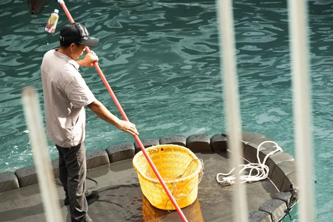 涨知识|深海养殖哪里好? 涨知识|深海养殖哪里好?