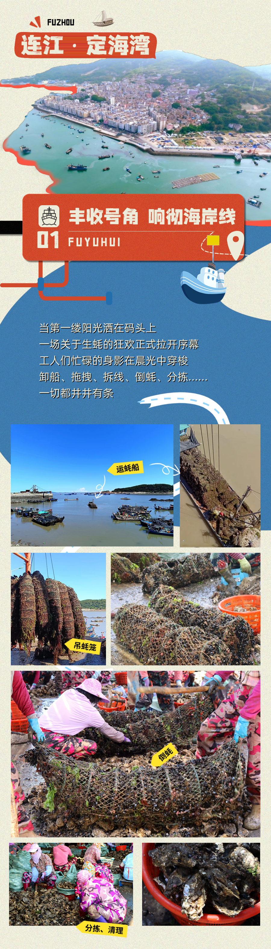 深海珍馐，蚝动人心！